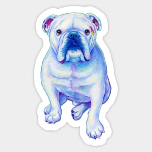 White Bulldog Sticker